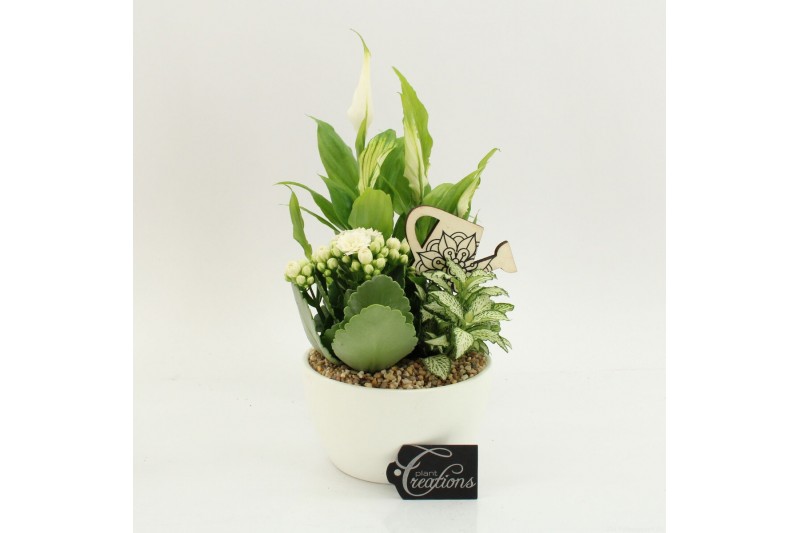 Arrangementen kamerplanten FDCR-2607W Basic Fundamentals 3 pp 