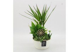 Arrangementen kamerplanten FDCR-2609W Basic Fundamentals 4 pp