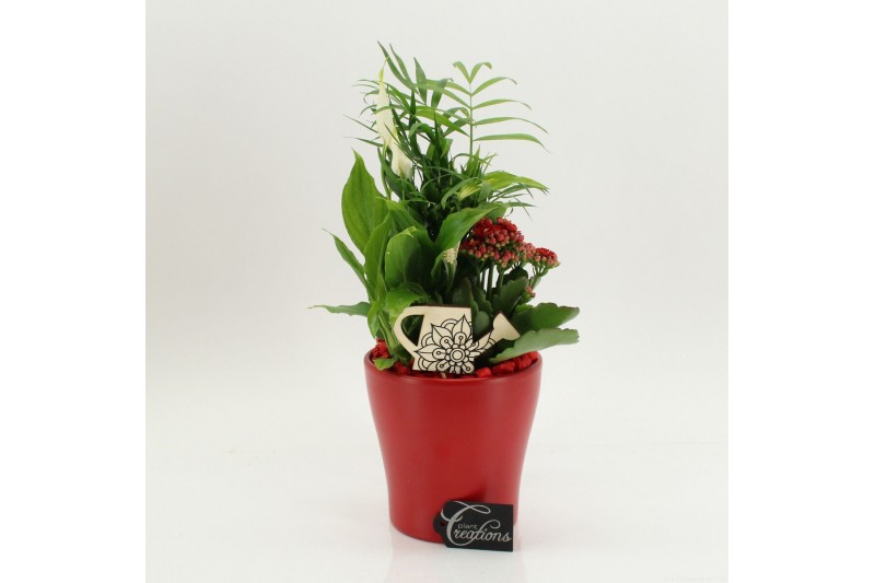 Arrangementen kamerplanten FDCR-2608R Basic Fundamentals 3 pp 