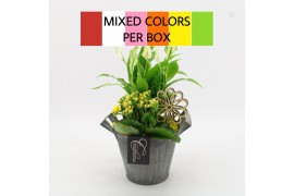 Arrangementen kamerplanten FDCR-2613M Basic Fundamentals 2 pp