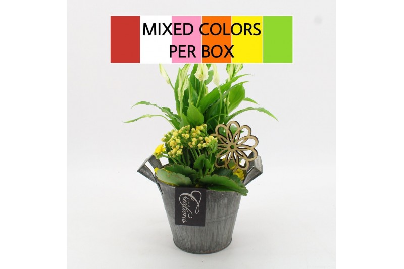 Arrangementen kamerplanten FDCR-2613M Basic Fundamentals 2 pp 