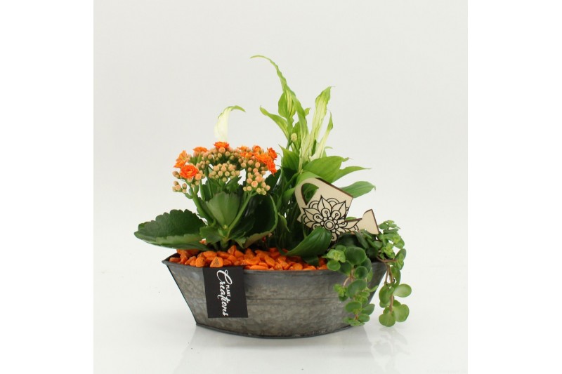 Arrangementen kamerplanten FDCR-2614OR Basic Fundamentals 3 pp 