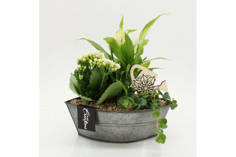 Arrangementen kamerplanten FDCR-2614W Basic Fundamentals 3 pp 