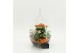 Arrangementen kamerplanten FDCR-2605OR Basic Fundamentals terrarium 3  