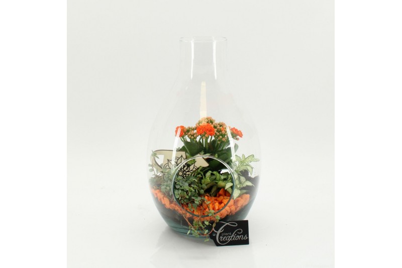 Arrangementen kamerplanten FDCR-2605OR Basic Fundamentals terrarium 3  
