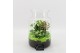 Arrangementen kamerplanten FDCR-2606GR Basic Fundamentals terrarium 2  