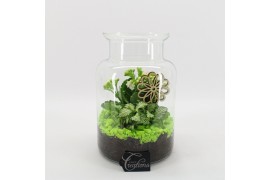 Arrangementen kamerplanten FDCR-2606GR Basic Fundamentals terrarium 2 
