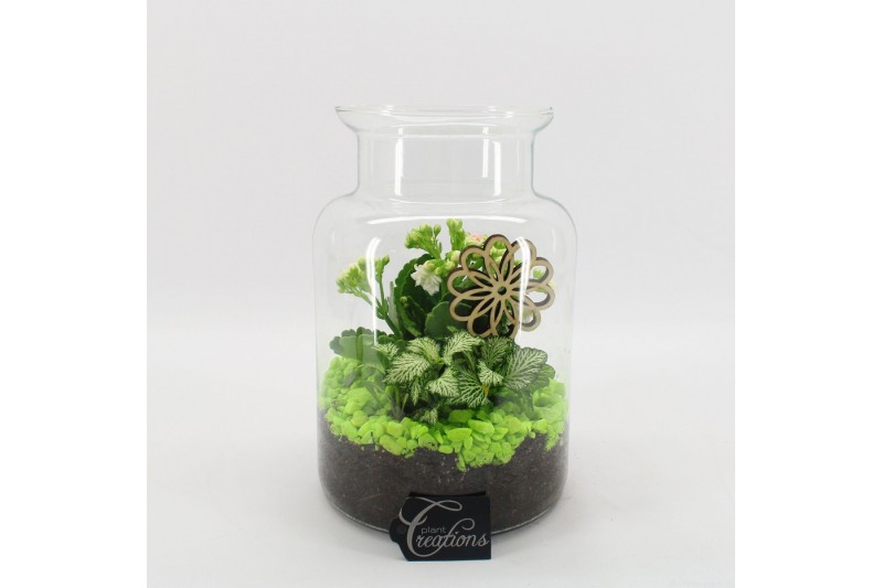 Arrangementen kamerplanten FDCR-2606GR Basic Fundamentals terrarium 2  