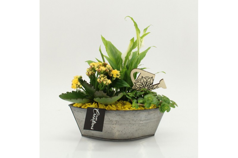 Arrangementen kamerplanten FDCR-2614G Basic Fundamentals 3 pp 