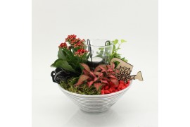 Arrangementen kamerplanten FDCR-2603R Basic Fundamentals 3 pp