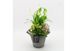 Arrangementen kamerplanten FDCR-2613G Basic Fundamentals 2 pp