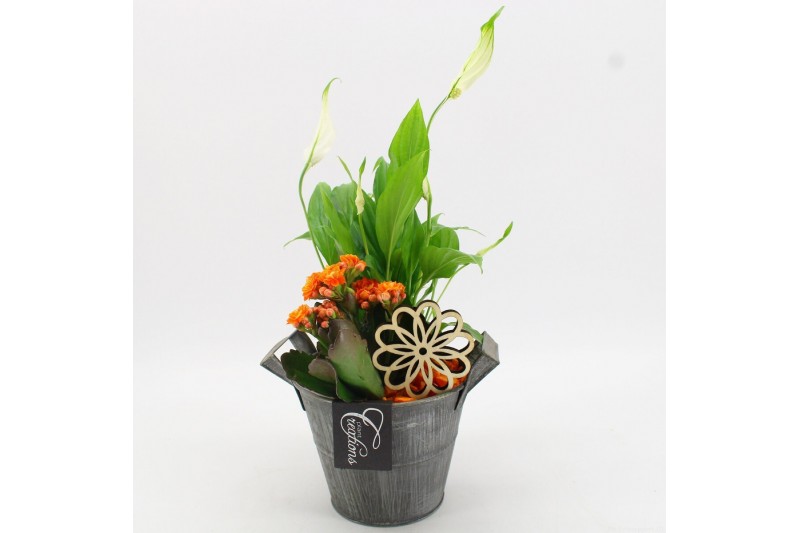 Arrangementen kamerplanten FDCR-2613OR Basic Fundamentals 2 pp 