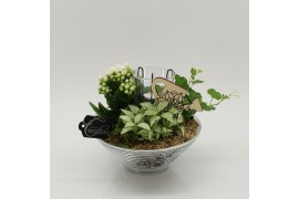 Arrangementen kamerplanten FDCR-2603W Basic Fundamentals 3 pp