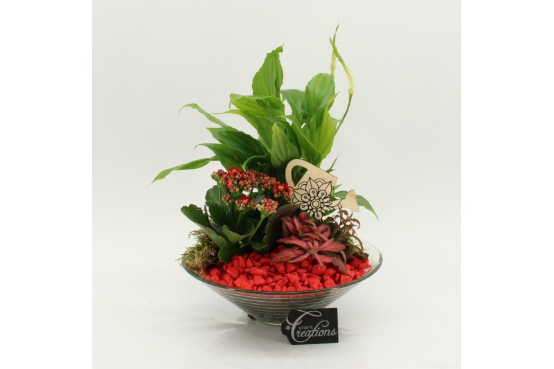 Arrangementen kamerplanten FDCR-2602R Basic Fundamentals 3 pp 