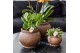 Keramische pot Kolibri Home Ancient pot brown mix 