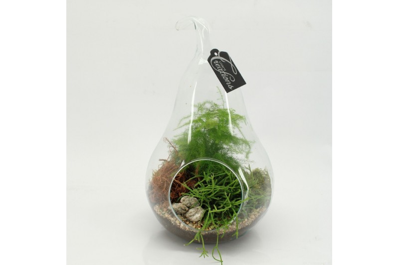 Arrangementen kamerplanten GRCR-2606 Green Essentials terrarium 2 pp 