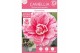 Camellia japonica Camellia jap. Bonomiana Premium15 bl. 