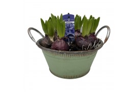Arrangementen kerst Zink schaal Delft 7 pp 150 bl. 7 per pot