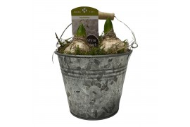 Arrangementen hyacinthus Zink emmer 13 cm hyacint 3 pp 90 bl. 3 per po