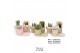 Succulenten TRULY Succulent, plateau 1 pp 