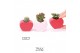Cactus mix TRULY Cactus, Heart mini 1 pp 