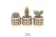 Cactus mix TRULY Cactus, Retro 1 pp 