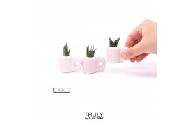 Succulenten TRULY Succulent, Mug Pink Mini 1 pp