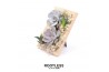 Arrangementen succulenten ROOTLESS Echeveria Haworthia, Photo frame 4 