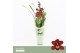 Cymbidium Cymbidium, Red Beauty Roy 1-spike Orchid Collection Potcover 