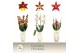 Cambria grp mix 3 kleuren Cambria, Mix 3-spike Exclusiva Orchidea Potc 