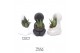 Arrangementen succulenten TRULY Succulent, Hug mini 1 pp 