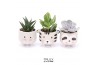 Succulenten TRULY Succulent, Animal Grey 1 pp