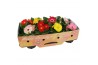 Gerbera mix Gerbera patio beauty 2+ met kraag gemengd 2 bl. 500