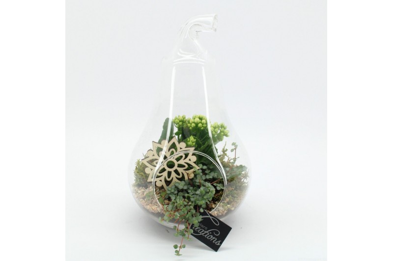 Arrangementen kamerplanten ESCR-2632W Essentials terrarium 2 pp 