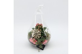 Arrangementen kamerplanten ESCR-2632RZ Essentials terrarium 2 pp