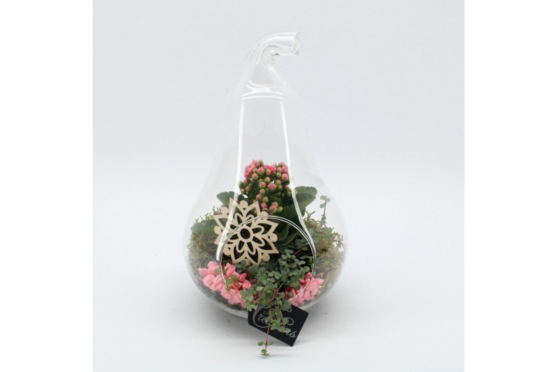 Arrangementen kamerplanten ESCR-2632RZ Essentials terrarium 2 pp 