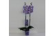 Phalaenopsis Wonder Purple 2 tak18 bl. 2 tak/plnt 
