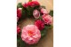 Camellia japonica Camellia jap. Mary Williams Premium 25 bl. 
