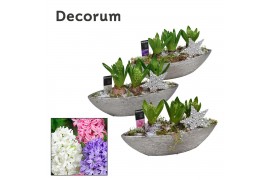 Arrangementen hyacinthus Hyacint Ribbel Boot HL19282 [SHINY & SPARKLIN