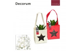 Arrangementen hyacinthus Hyacint Tasje HL16506WP [COZY] 1 pp 30 bl. 1 