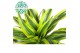 Dracaena fragr. der. lemon lime Dracaena Lemon Lime p21, 45+15+10 3 pp 