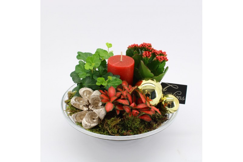Arrangementen kerst ADV-2513R Advent creatie 3 pp 
