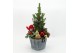 Arrangementen tuinplanten ODXM-2511 Xmas Outdoor 4 pp 