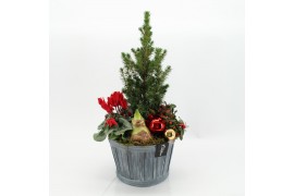 Arrangementen tuinplanten ODXM-2511 Xmas Outdoor 4 pp