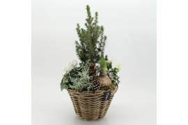 Arrangementen tuinplanten ODXM-2543 Xmas Outdoor 5 pp