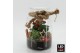 Arrangementen kerst XMAS-25212LED Kerst creatie terrarium 2 pp 