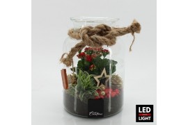 Arrangementen kerst XMAS-25212LED Kerst creatie terrarium 2 pp