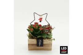 Arrangementen kerst XMAS-25248LED Kerst creatie 2 pp