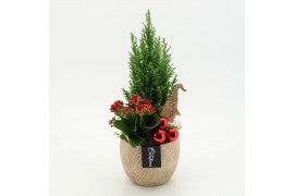 Arrangementen kerst XMAS-25268 Kerst creatie 2 pp