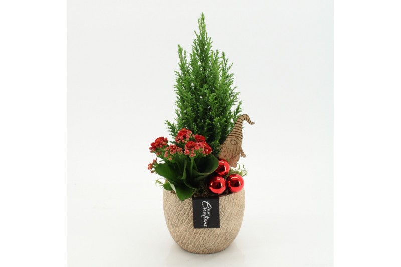 Arrangementen kerst XMAS-25268 Kerst creatie 2 pp 